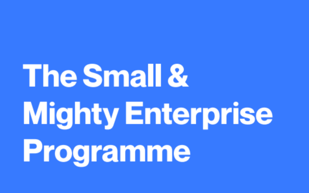 Free Programme to Help Microbusinesses Thrive